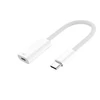 Winner Group WG - USB-C (kištukas) į „Lightning“ (lizdas) adapteris, baltas