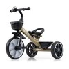 Baby Bike triratukas Milly Mally Bobby Golden
