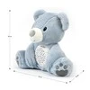 Mėlyna MILLY MALLY pliušinis žaislas su projektoriumi Milly Bear Mėlyna