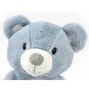 Mėlyna MILLY MALLY pliušinis žaislas su projektoriumi Milly Bear Mėlyna