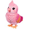 Mix Kalbantis paukštis su narveliu Moose Little Live Pets 26692