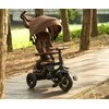 MILLY MALLY 6299 Qplay Triratis Rito Deluxe guminis rudas