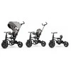 MILLY MALLY 4535 Qplay Triratis Rito Star Pilkas