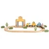 Viga Toys Medinis traukinio rinkinys VIGA PolarB 30 dalių