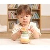 Dėlionė Viga Toys Medinė edukacinė piramidė VIGA PolarB