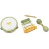 Viga Toys VIGA Muzikiniai Instrumentai Rinkinys PolarB Žalias