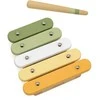 Viga Toys VIGA Muzikiniai Instrumentai Rinkinys PolarB Žalias
