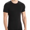 Carruzzo Icebreaker Mens Anatomica SS Crewe
