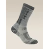 Icebreaker Womens Mountaineer Mid Calf