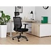 Ergonomiška biuro kėdė darbui Esta
