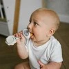 Baby Ono BabyOno barškutis su kramtuku bitė 1591