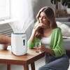 Oro sausintuvas, drėgmės sugėriklis Maltec DH-800 22W