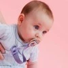 BIBS čiulptuko laikiklis Dusty Mėlyna