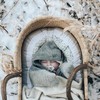 BIBS čiulptukų rinkinys 2 dydis (6 - 18 mėn.) Juodas / Baltas