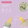 BIBS dovanų rinkinys kūdikiui Baby Sprinkle Gift Set Sage