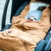Easygrow universalus vokelis tinkantis ir automobilinei kėdutei FERD Mini Sand