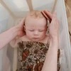 Mushie šepetėlis luobelei Cradle Cap Rose/Soft Lilac (2 vnt)