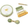 Viga Toys VIGA Muzikiniai Instrumentai Rinkinys PolarB Žalias