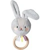 Taf Toys žaislinis žaislas Rylee Bunny