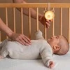 Taf Toys migdukas naktinė lemputė Dream Bear