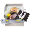 Taf Toys Tummy Time Essentials Kit lavinamasis rinkinys gulėjimui ant pilvuko, 7 dalių