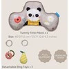 Taf Toys veiklos pagalvė Panda
