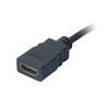 AV adapteris Akasa HDMI Micro - HDMI 0,2m juoda (AK- CBHD09- 25BK)
