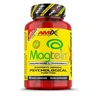 Amix Magtein Magnesium L-Threonate 90 cps