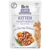 Drėgnas Kačių Maistas - Brit Care - 85 g - Lašišos
