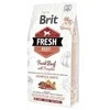 Brit Fresh Dog Jautiena su moliūgas Puppy Large 2,5kg