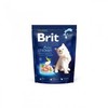 BRIT PREMIUM Cat Kitten 300g