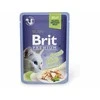 Brit Premium Delicate Fillets in Jelly su upėtakiu 85 g