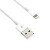 C-TECH USB 2.0 Lightning (IP5 ir aukštesnis) įkrovimo ir sinchronizavimo laidas