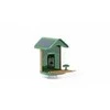 Camouflage Gamtos kamera EZ Birdfeed 1
