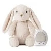 Cloud B muzikinis šviečiantis migdukas Billy Bunny