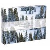Dėlionė Bookshop Gray Malin The Snow Two-sided Puzzle