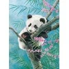 Castorland Dėlionė 70 vnt. - Panda ant bambuko