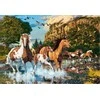 Castorland Dėlionė 1000 vnt. - Laukiniai arkliai