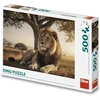 Dėlionė Dino Puzzle 500 Pieces: Resting Lion