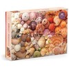 Dėlionė Bookshop Vibrant Seashells 1000 Piece Puzzle