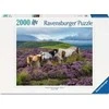 Ravensburger Dėlionė 2000 vnt. - Laukiniai arkliai viržynuose
