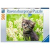 Ravensburger dėlionė „Kačiukas pievoje“, 500 det.
