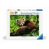Ravensburger Dėlionė 500 vnt. - Mažoji panda
