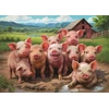 Ravensburger Dėlionė 500 vnt. - Paršiukai