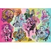 Trefl Dėlionė 300 vnt. - Monster High