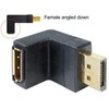 DELOCK Adapteris Displayport vyriškas > Displayport moteriška kampu žemyn