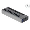 HUB USB Delock DELOCK išorės SuperSpeed USB laikiklis mit 10 Uostai + Schther