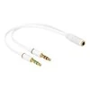 Delock ausinių adapteris 1 x 3,5 mm 4 kontaktų lizdas > 2 x 3,5 mm 3 kontaktų lizdas