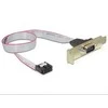 DELOCK Slotblech - Seriell 1xPort žemo profilio kabelis apytiksl. 40 cm