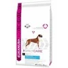 Eukanuba Daily Care jautriems sąnariams suaugusiems 12 kg